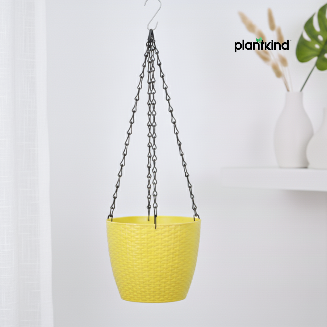 PlantKind Urban Bloom Hanging Planters | Gardening Pots | Pack of 1