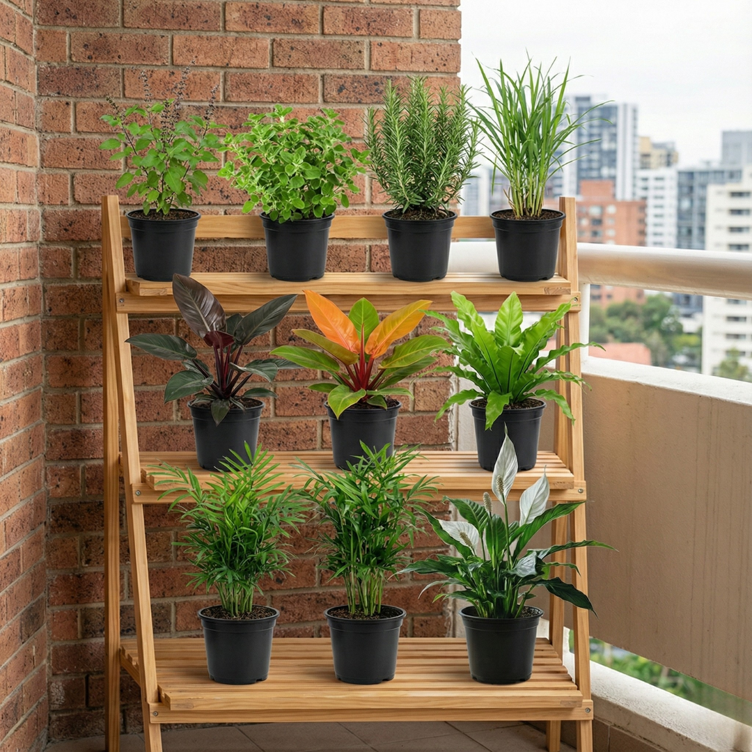 Metro Life Fresh Greens Combo |Ideal for Special Occasions| Pack of 10 Plants(Small)