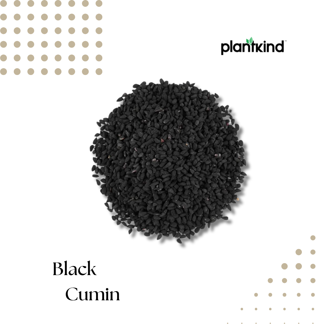 Black Cumin Seeds | Kalonji | Natural Spice | Pack of 1 | 100g
