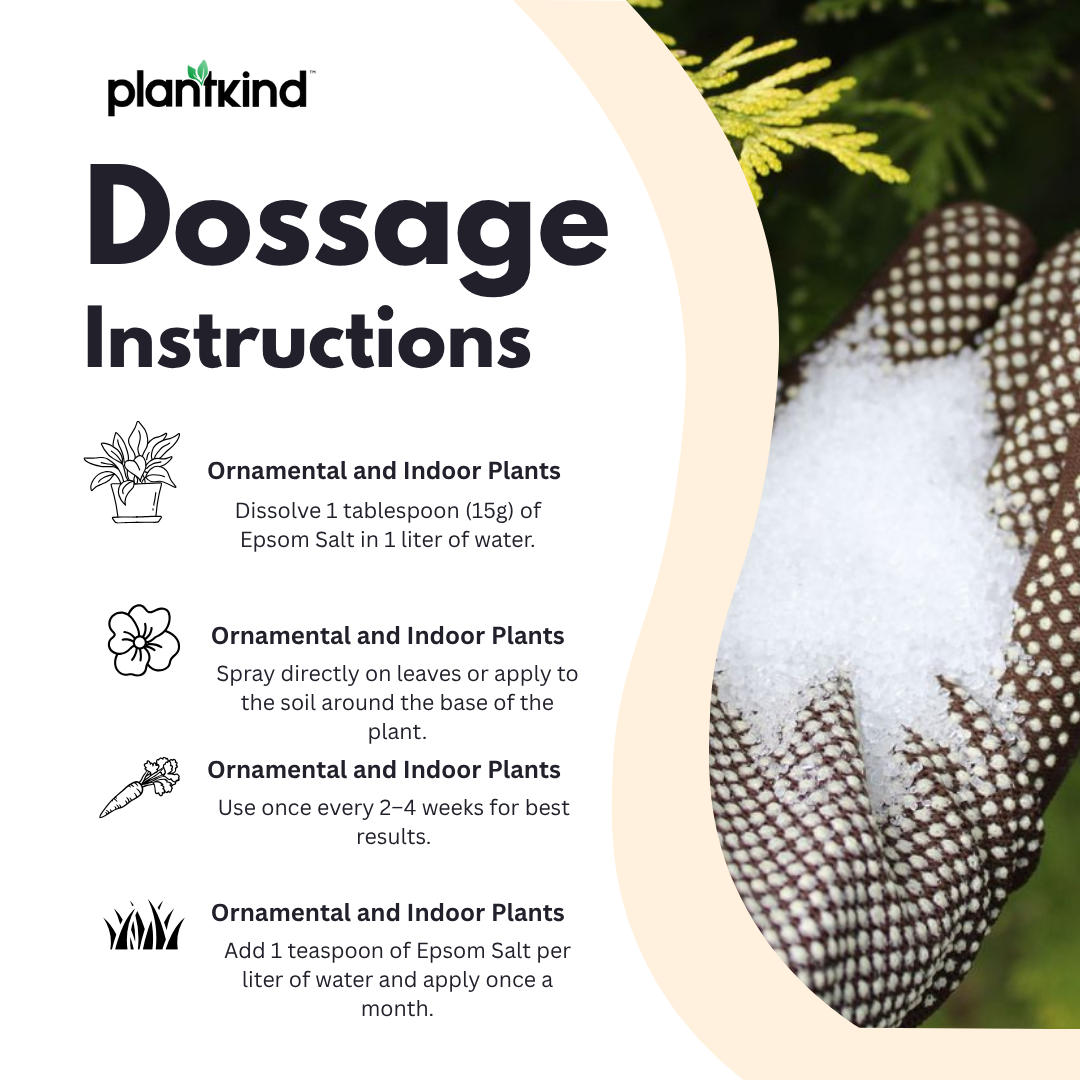 Plantkind Epsom Salt | Natural Magnesium Sulphate Crystals for Garden Soil | Ideal for Flower Pots, Vegetable Beds & Indoor Plants | Supports Healthy Soil Structure