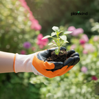 Plankind Gardening Gloves 1 pair | Gardening Tools | Pack Of 1
