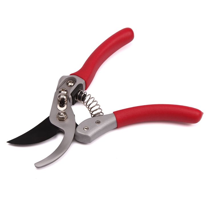 Hand Pruner | 1pc
