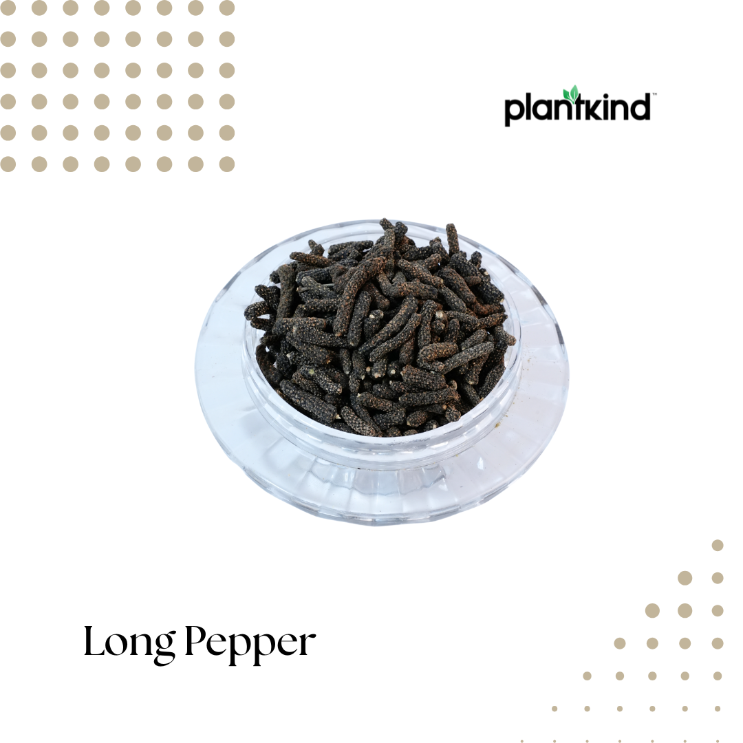 Pippali | Piper longum | Natural Herb | Pack of 1 | 100g