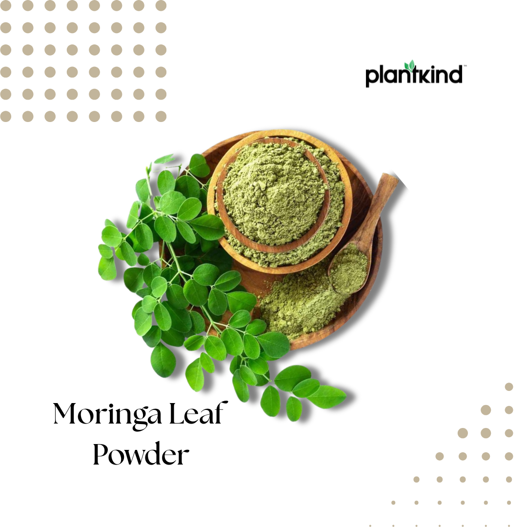 Moringa Leaf Powder | Herbal Powder | Pack of 1 | 100g
