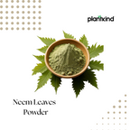 Neem Leaves Powder | Organic Product | Pack of 1 | 100g
