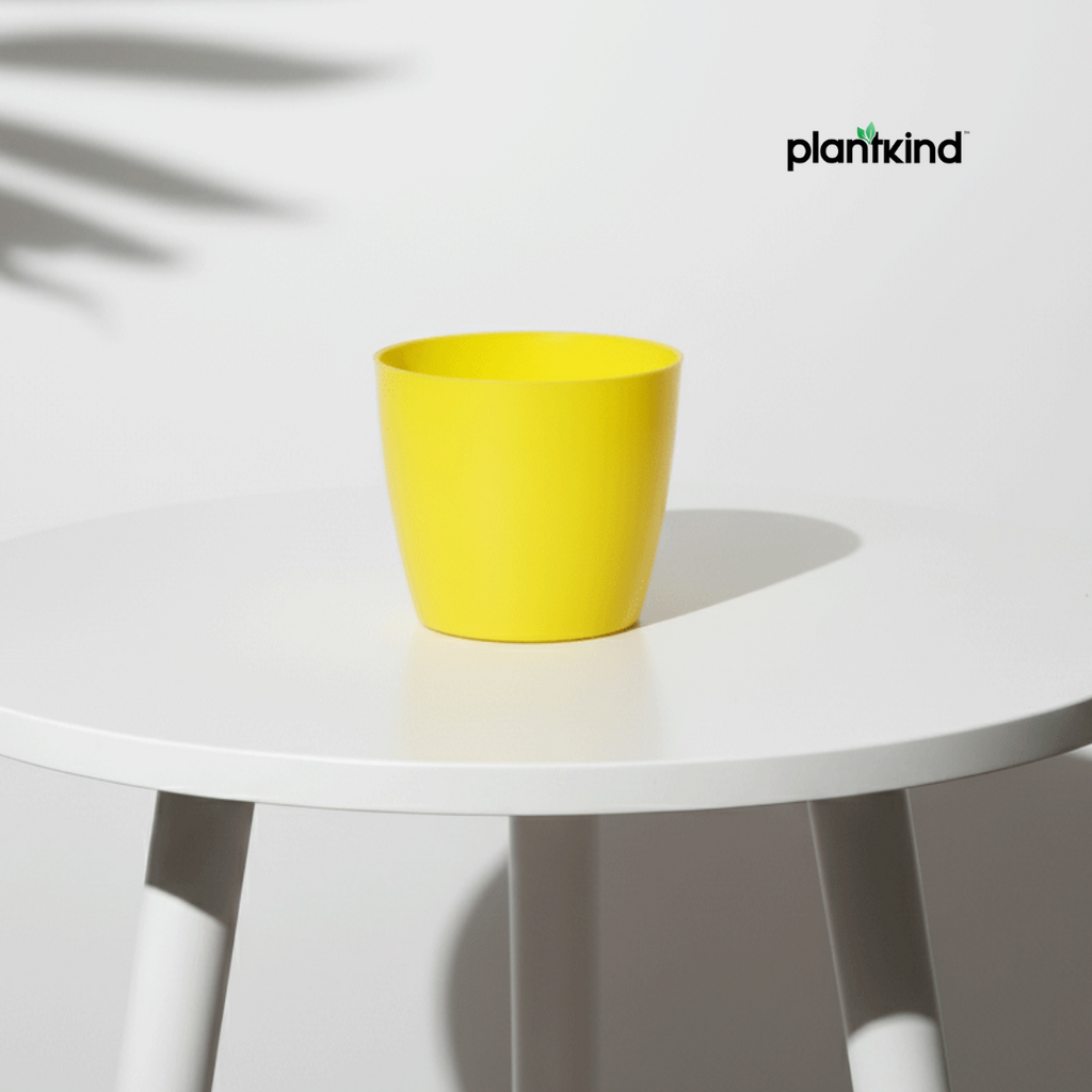 Plantkind Divinity Cera 4 Inch Pot | Plastic Pot | Pack Of 1