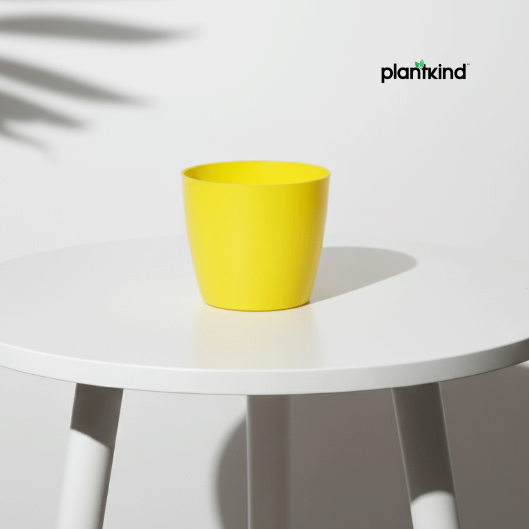 Plantkind Divinity Cera 4 Inch Pot | Plastic Pot | Pack Of 1