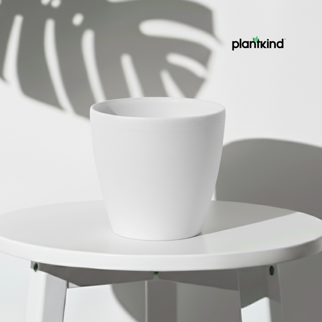 Plantkind Deco Plastic Pots 6inch | Plastic Pots | Pack Of 1