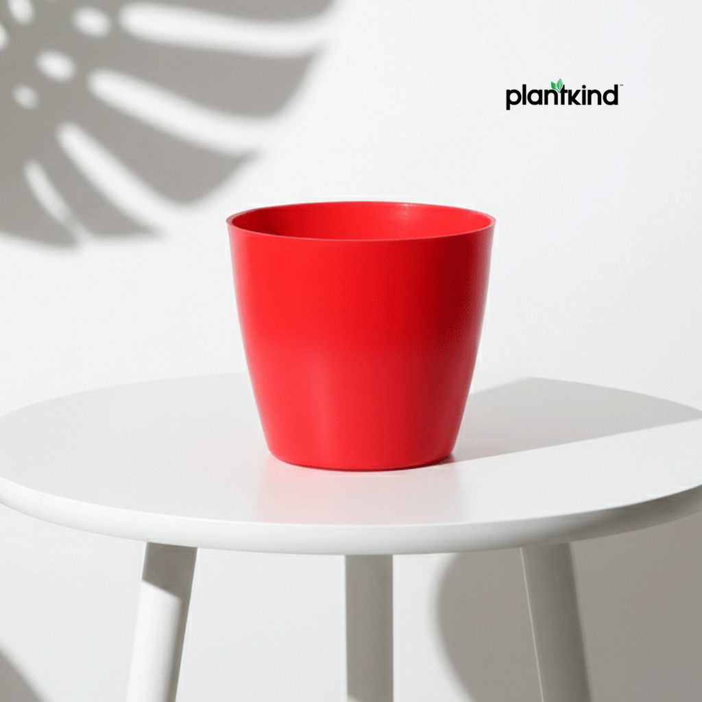 Plantkind Divinity Cera 4 Inch Pot | Plastic Pot | Pack Of 1