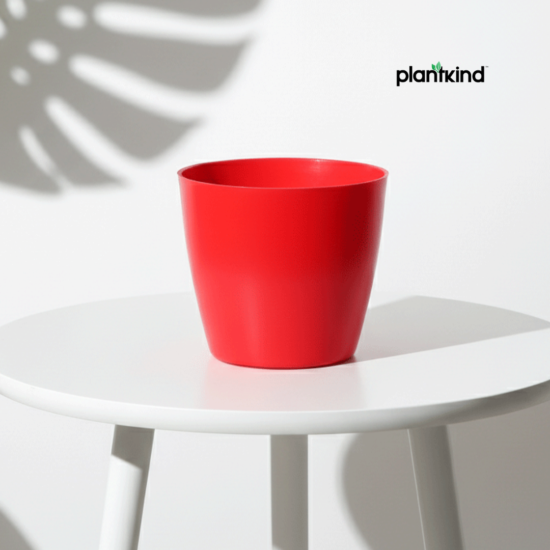 Plantkind Divinity Cera 4 Inch Pot | Plastic Pot | Pack Of 1