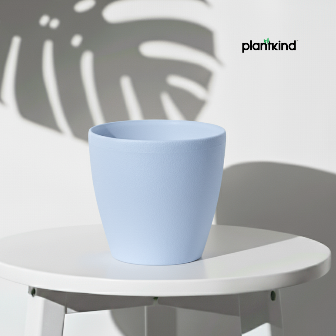 Plantkind Deco Plastic Pots 6inch | Plastic Pots | Pack Of 1