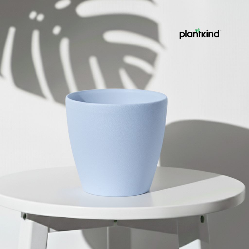 Plantkind Deco 9inch Plastic Pot | Gardening Esential | Plastic Pot | Pack Of 1