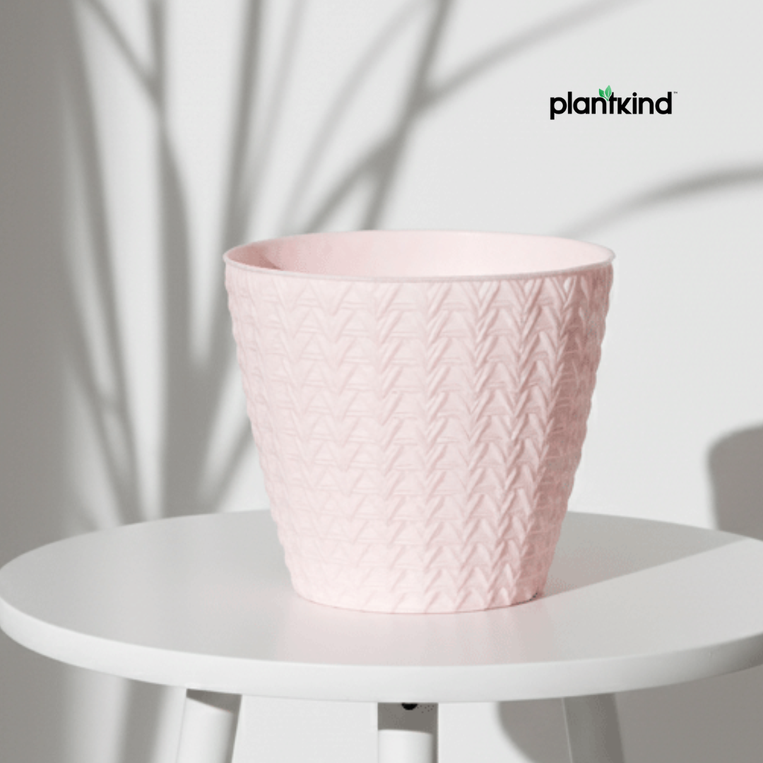 Plantkind Dollar 7 Plastic Pots 7 Inch | Plastic Pot | Pack of 1