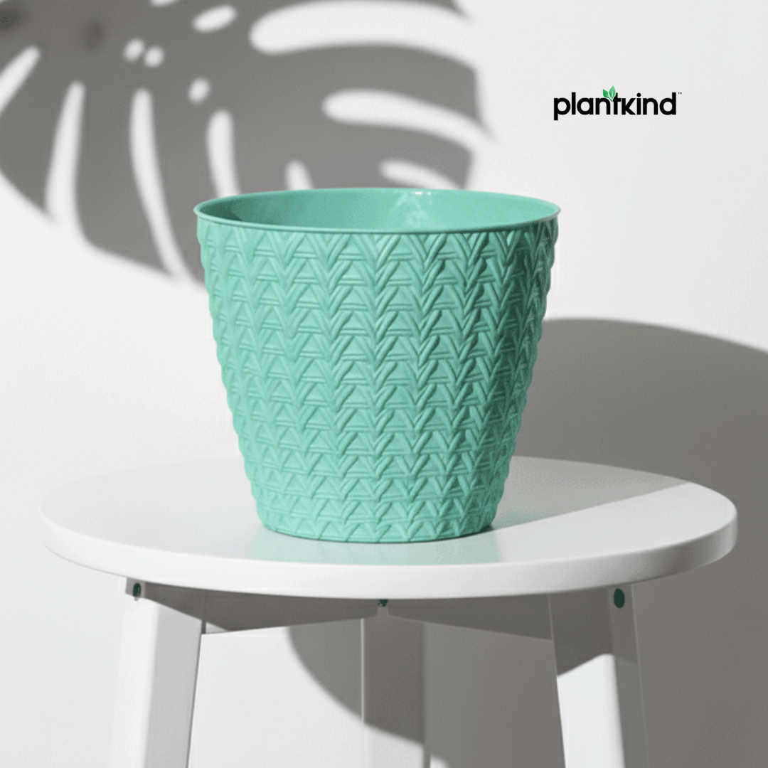 Plantkind Dollar 7 Plastic Pots 7 Inch | Plastic Pot | Pack of 1
