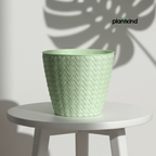 Plantkind Dollar 7 Plastic Pots 7 Inch | Plastic Pot | Pack of 1