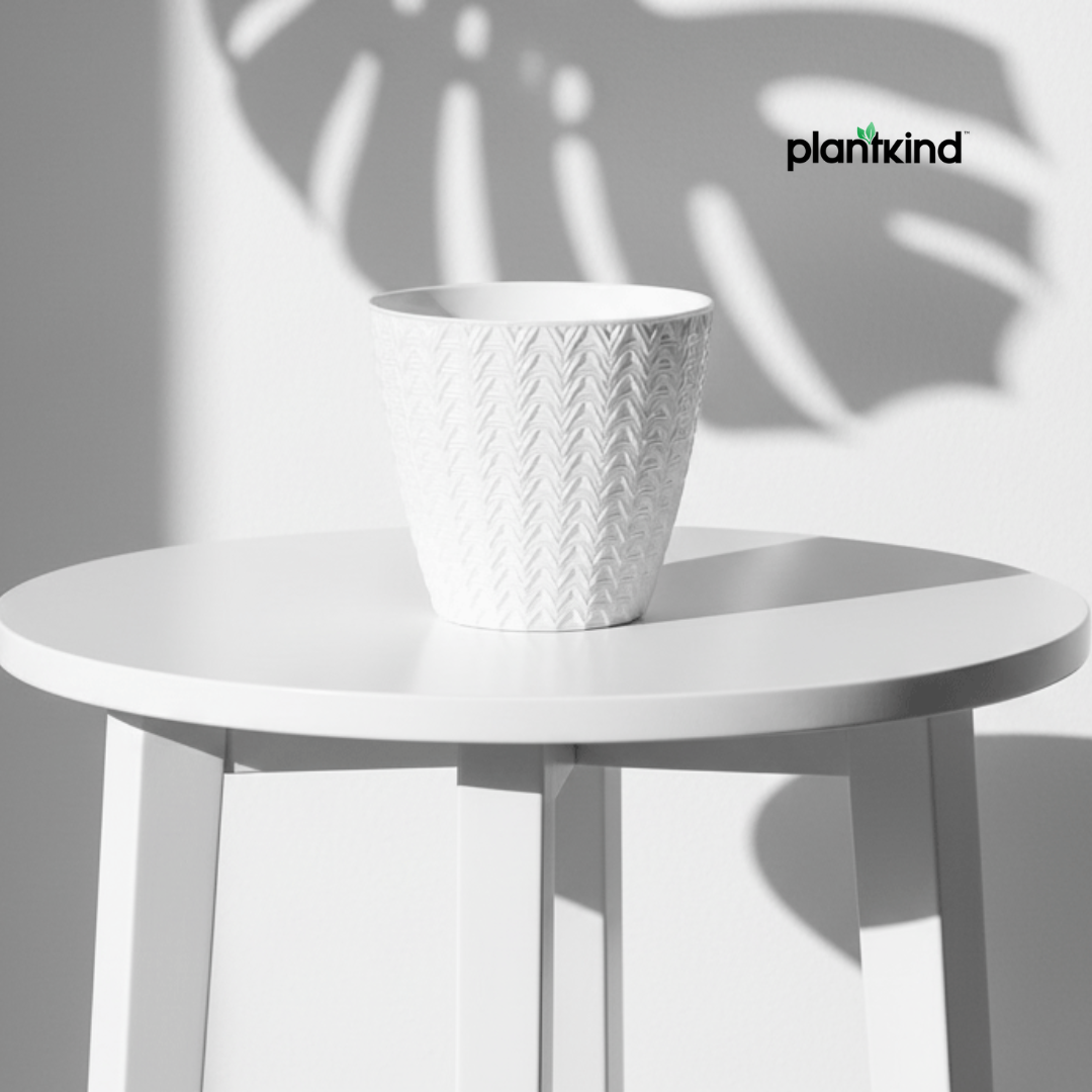 Plantkind Dollar 7 Plastic Pots 7 Inch | Plastic Pot | Pack of 1