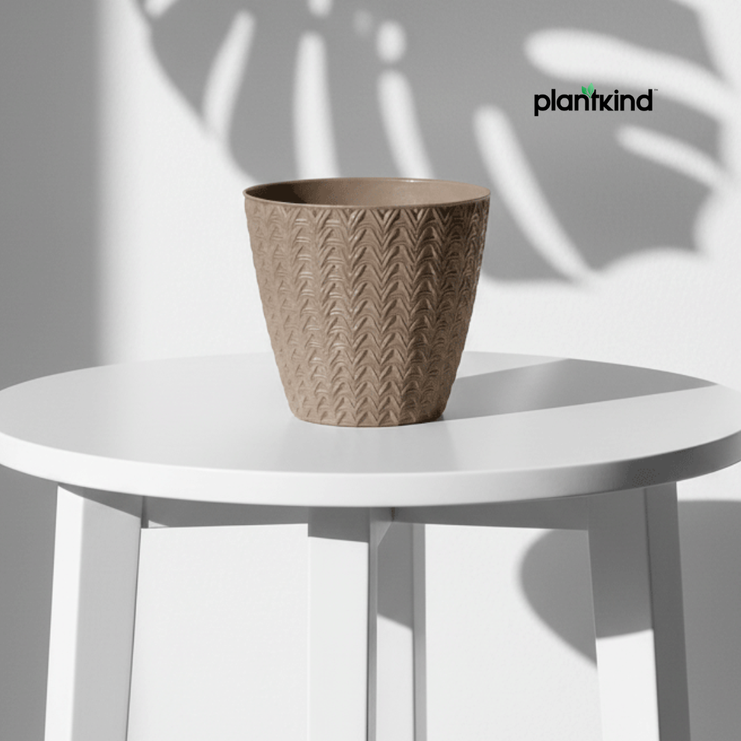 Plantkind Dollar 7 Plastic Pots 7 Inch | Plastic Pot | Pack of 1