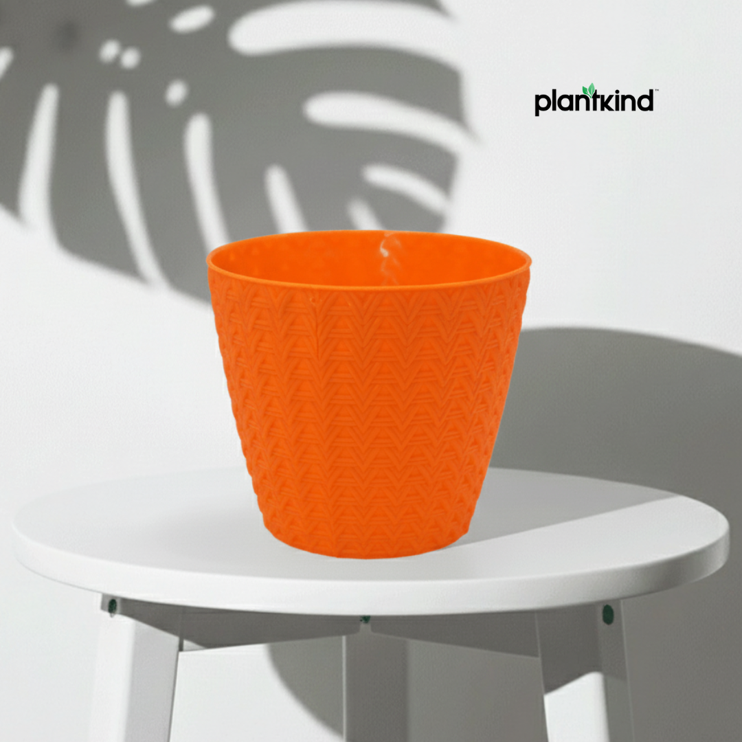 Plantkind Dollar 7 Plastic Pots 7 Inch | Plastic Pot | Pack of 1