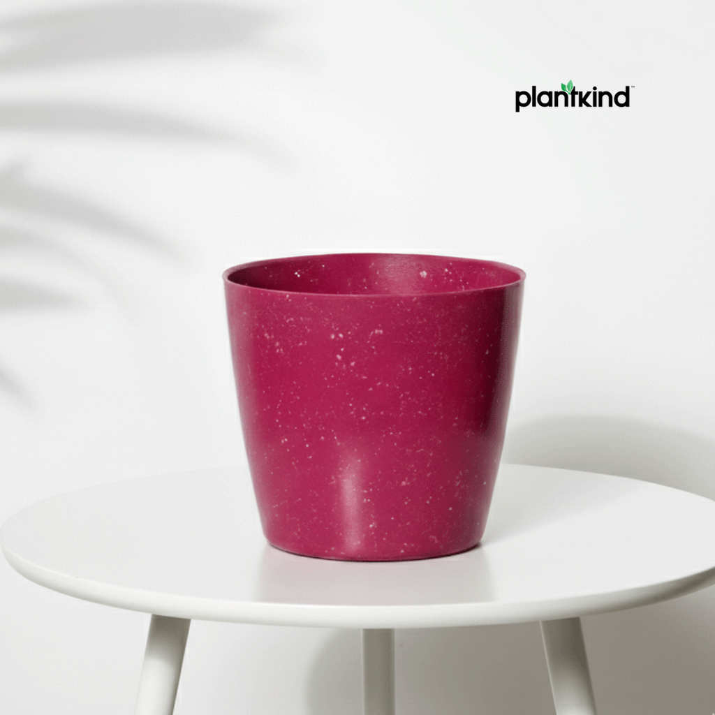 Plantkind Divinity Plastic Pots 5 Inch | Gardening Pot | Pack Of 1