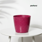 Plantkind Divinity Plastic Pots 5 Inch | Gardening Pot | Pack Of 1