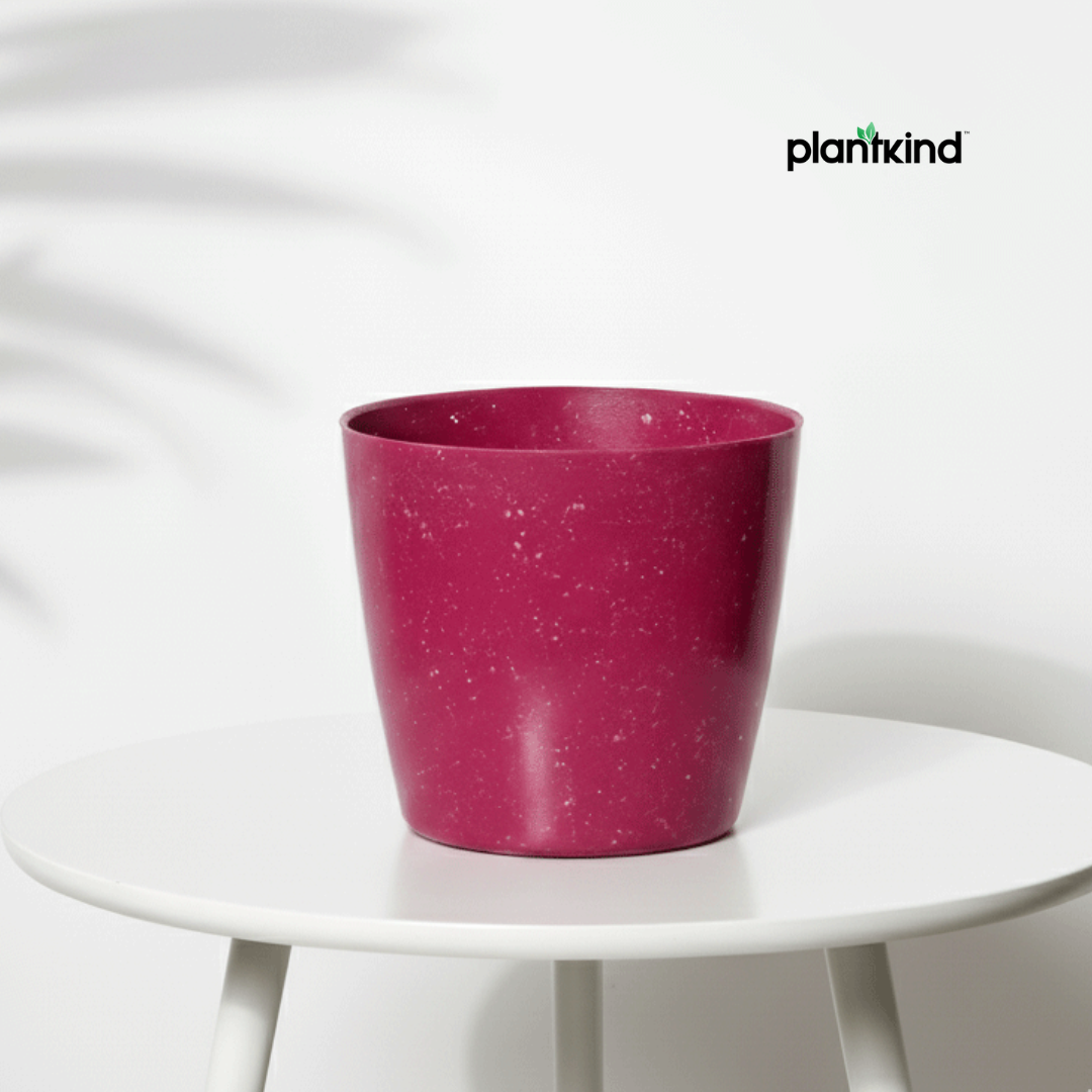 Plantkind Divinity Plastic 4 inch Pot | Plastic Pot | Pack Of 1
