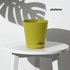 Plantkind Self Watering Pot 4inch | Gardening Pots | Pack of 1