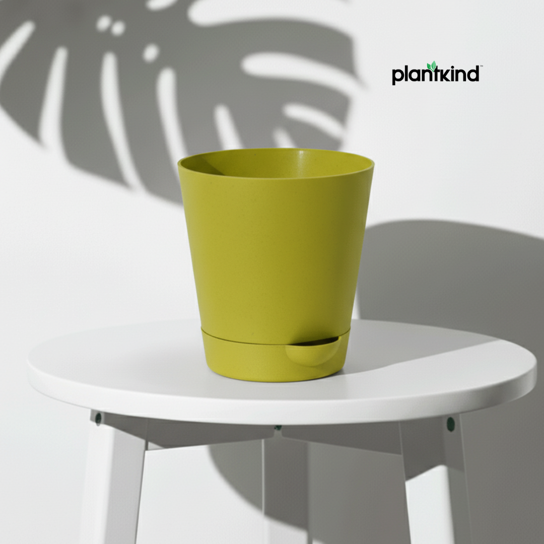 Plantkind Self Watering Pot 4inch | Gardening Pots | Pack of 1