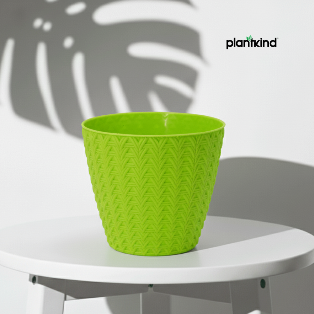 Plantkind Dollar 7 Plastic Pots 7 Inch | Plastic Pot | Pack of 1