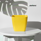 Plantkind Deco dot 7.5 Inch | Plastic Pot | Gardening Pot | Pack Of 1