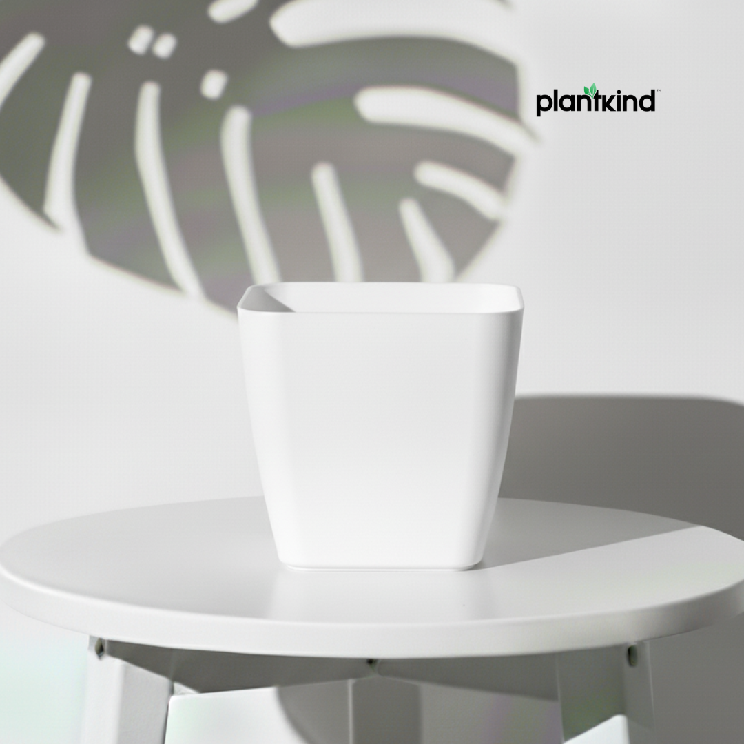 Plantkind Deco dot 7.5 Inch | Plastic Pot | Gardening Pot | Pack Of 1