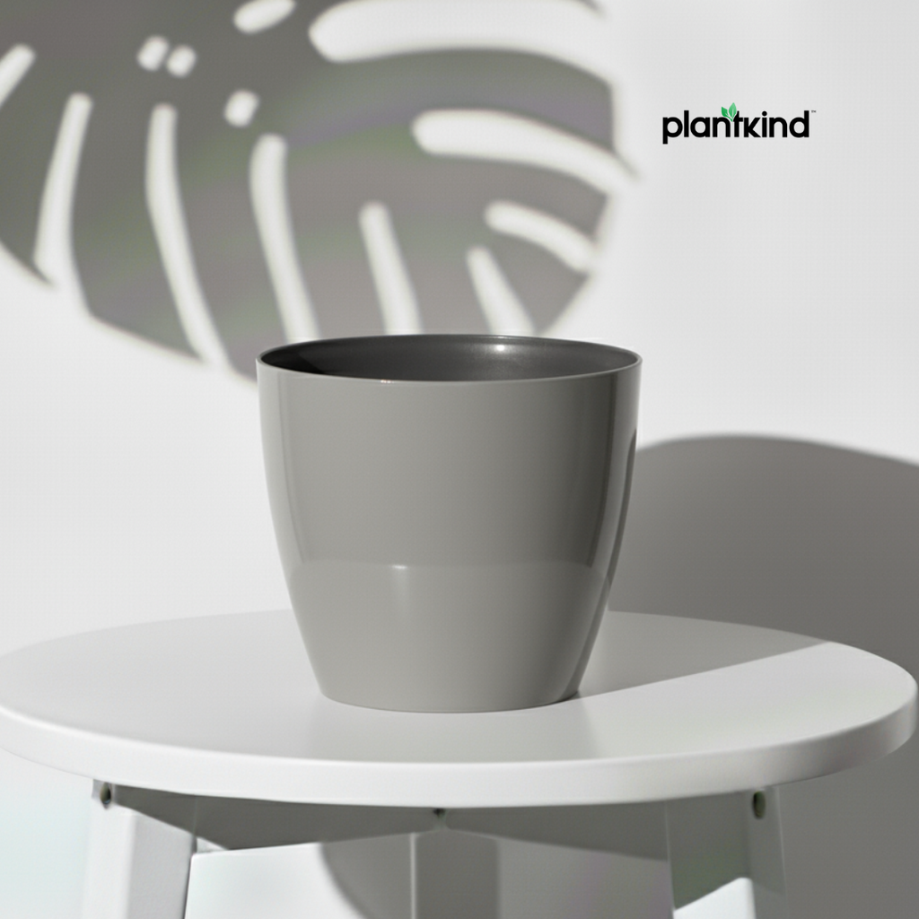 Plantkind Divine 6 Inch Plastic Pot | Gardening Pot | Plastic Pot | Pack of 1