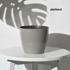 Plantkind Divine 6 Inch Plastic Pot | Gardening Pot | Plastic Pot | Pack of 1