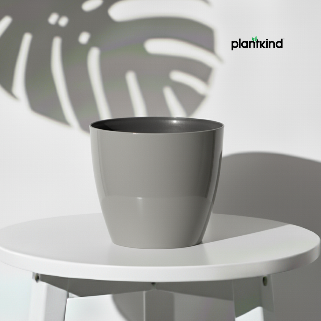 Plantkind Divine 6 Inch Plastic Pot | Gardening Pot | Plastic Pot | Pack of 1