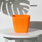 Plantkind Deco dot 7.5 Inch | Plastic Pot | Gardening Pot | Pack Of 1