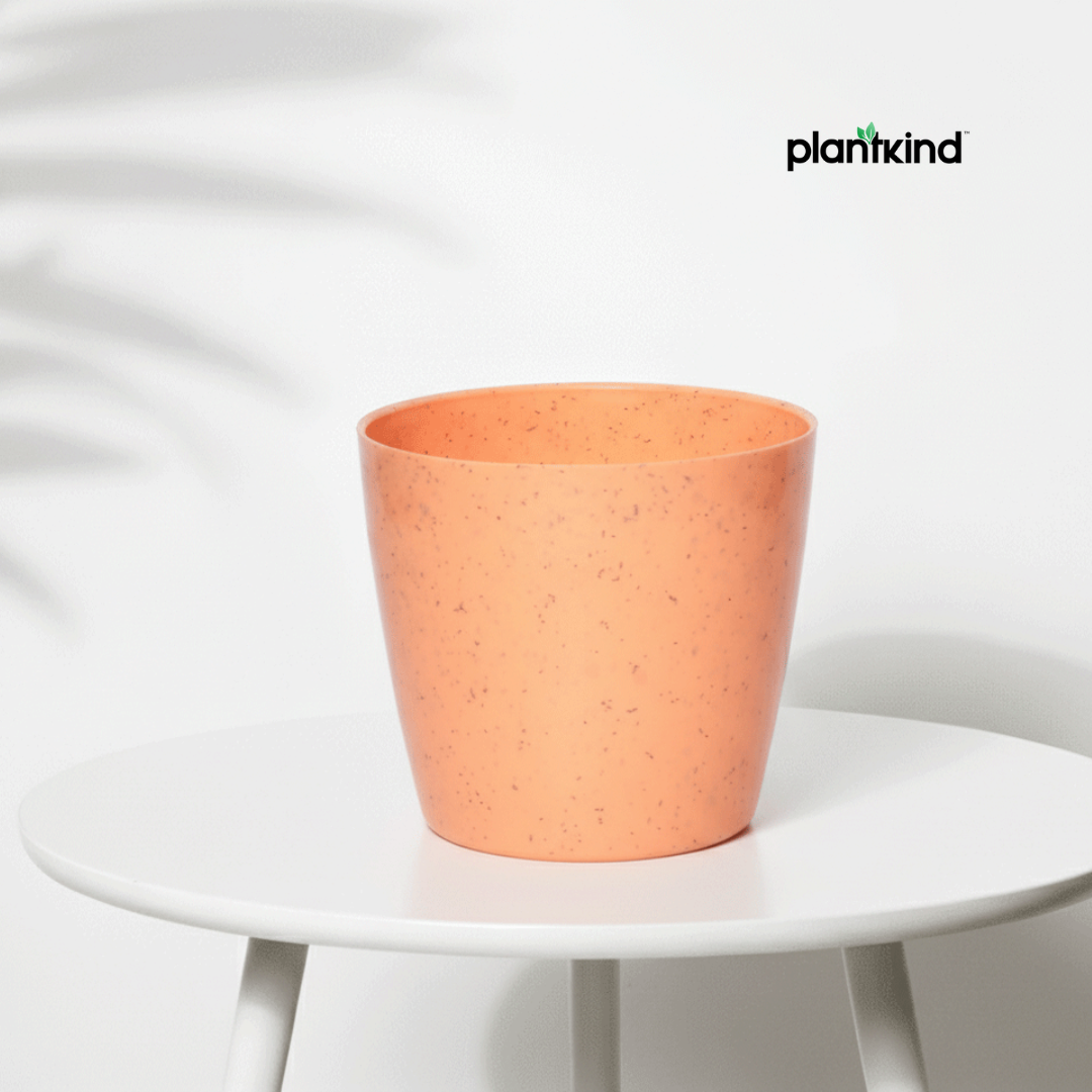 Plantkind Divinity Plastic Pots 5 Inch | Gardening Pot | Pack Of 1
