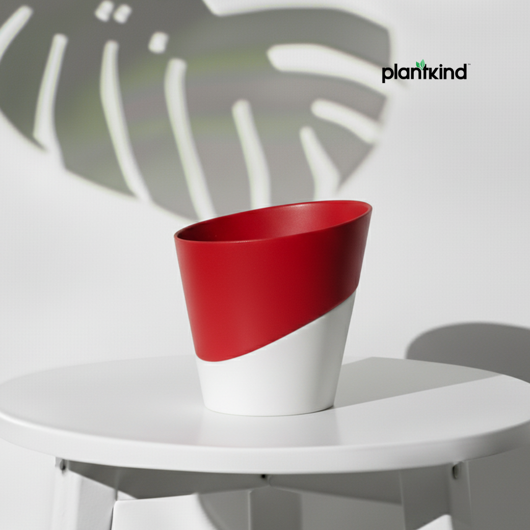 Plantkind Luxury Self Watering Plastic Pot | Gardening Pots | Pack of 1