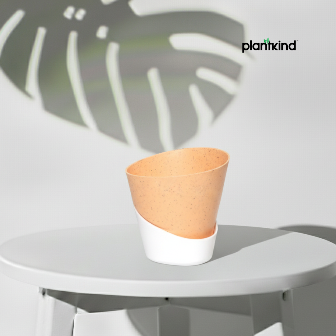 Plantkind Luxury Self Watering Plastic Pot | Gardening Pots | Pack of 1