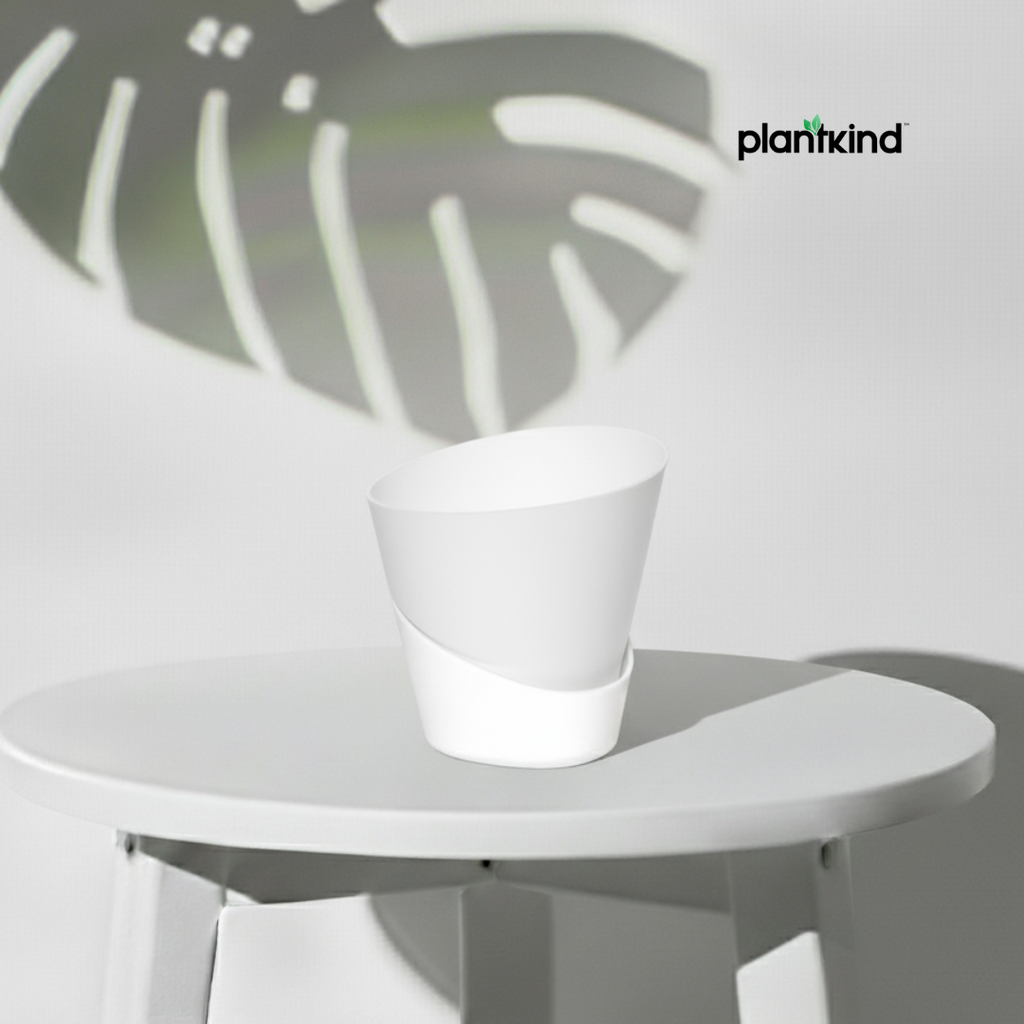 Plantkind Luxury Self Watering Plastic Pot | Gardening Pots | Pack of 1