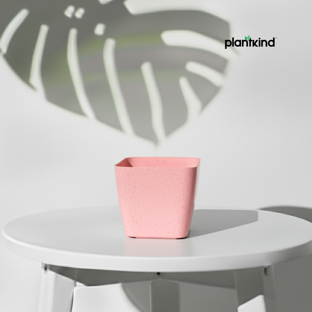 Plantkind Decor Plastic Pots 5 Inch | Gardening Pot | Pack Of 1
