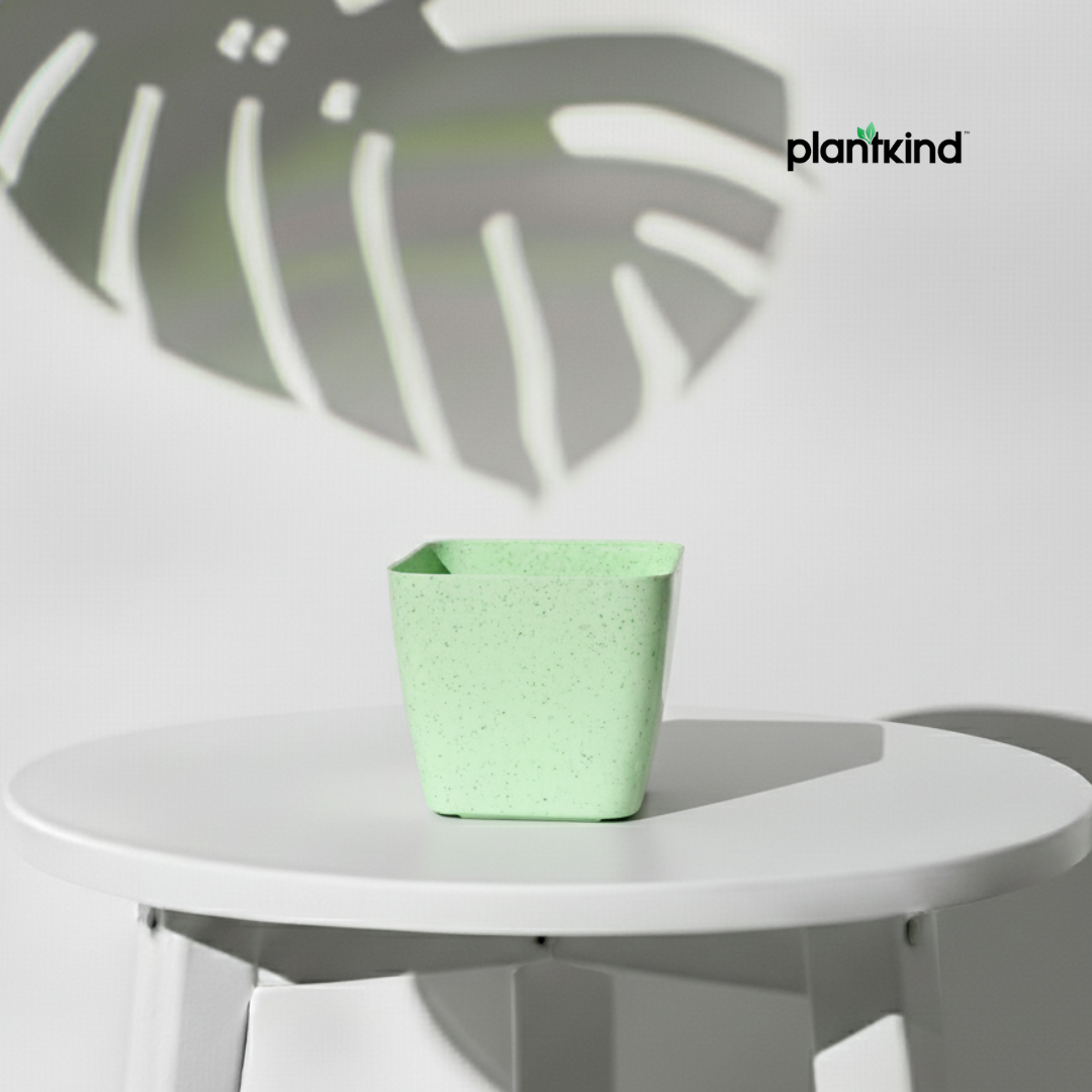 Plantkind Decor Plastic Pots 5 Inch | Gardening Pot | Pack Of 1