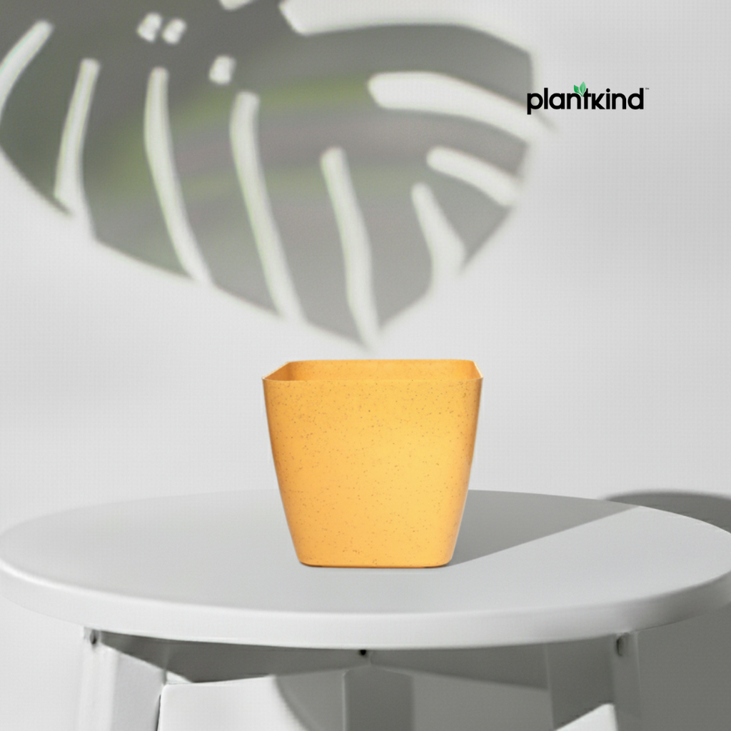 Plantkind Decor Plastic Pots 5 Inch | Gardening Pot | Pack Of 1