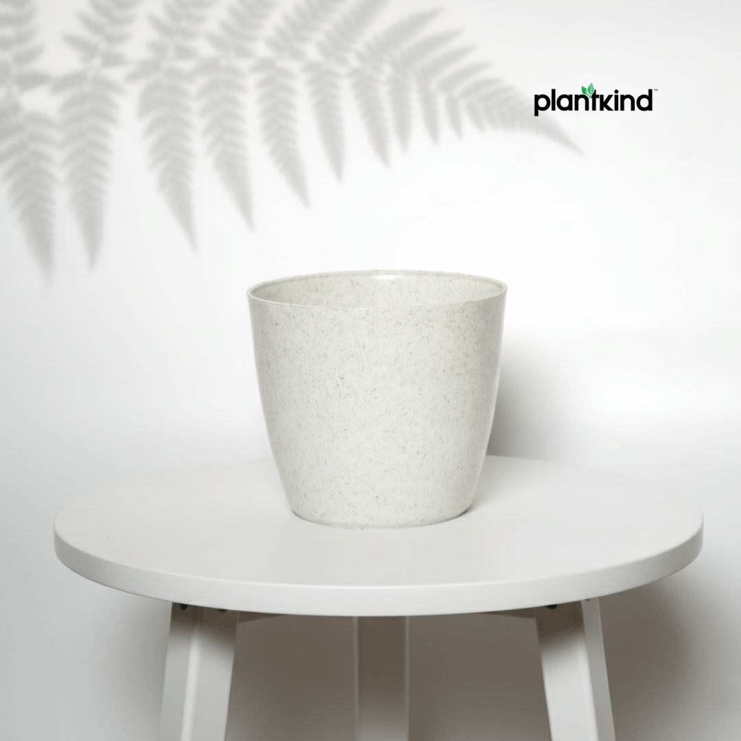 Plantkind Divinity Plastic Pots 5 Inch | Gardening Pot | Pack Of 1