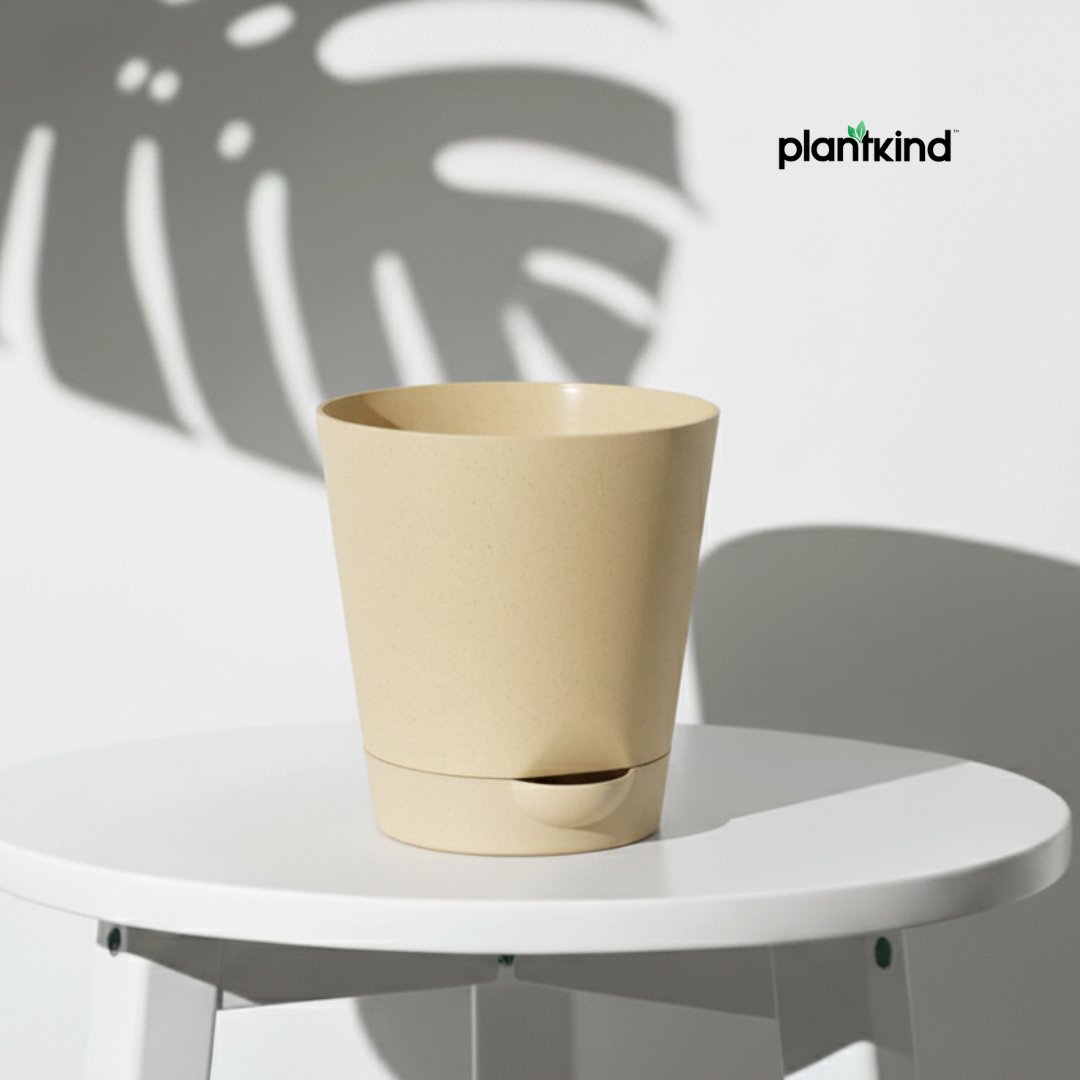 Plantkind Self Watering Pot 4inch | Gardening Pots | Pack of 1