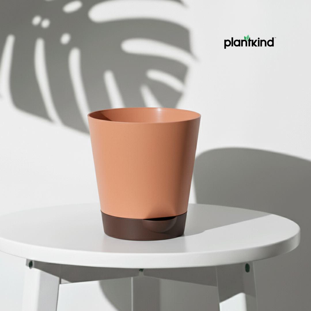 Plantkind Self Watering Pot 4inch | Gardening Pots | Pack of 1