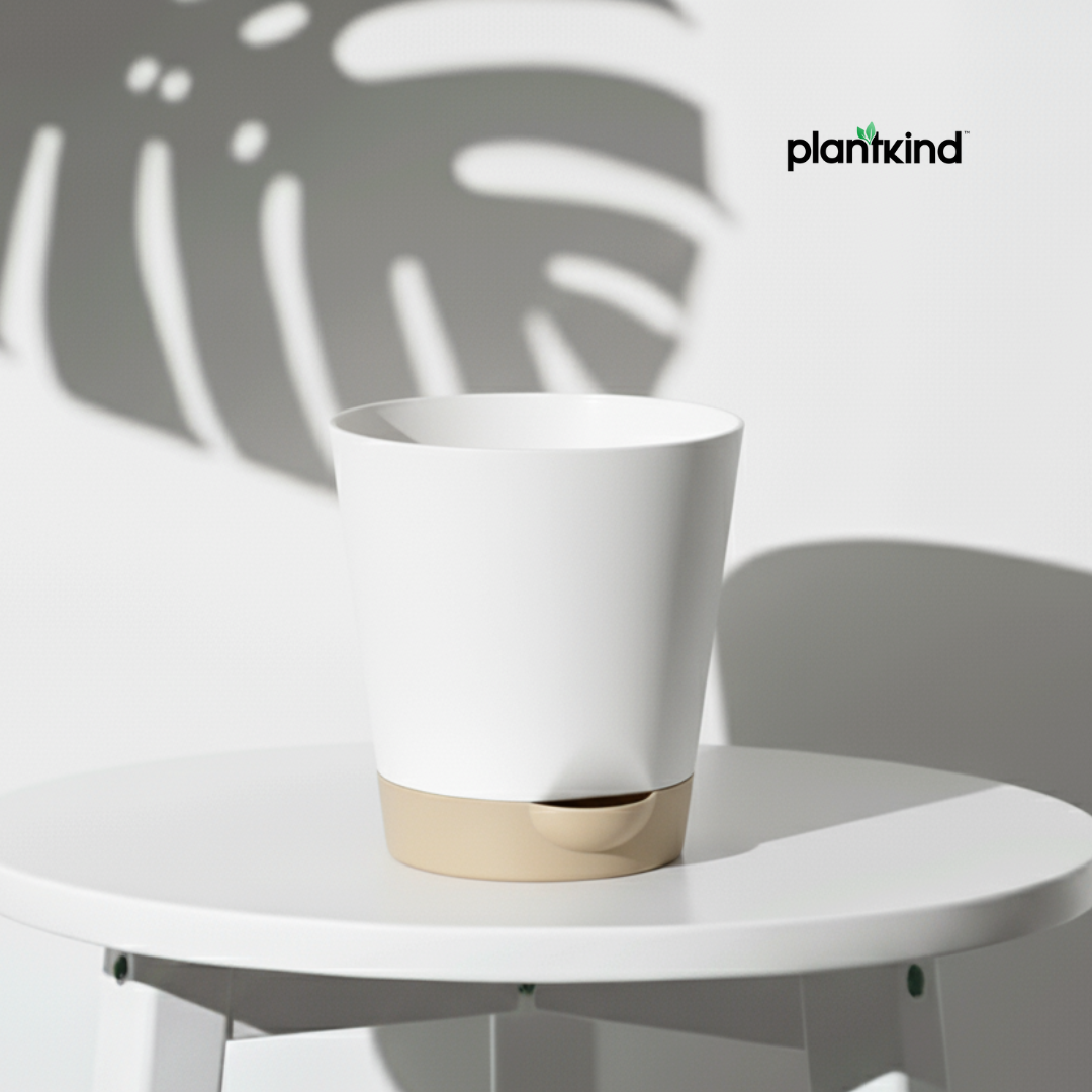 Plantkind Self Watering Pot 4inch | Gardening Pots | Pack of 1