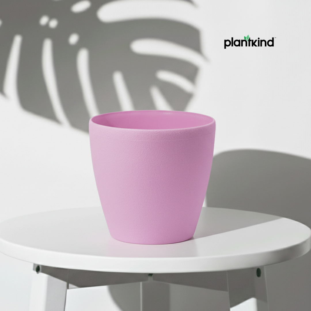 Plantkind Deco Plastic Pots 6inch | Plastic Pots | Pack Of 1