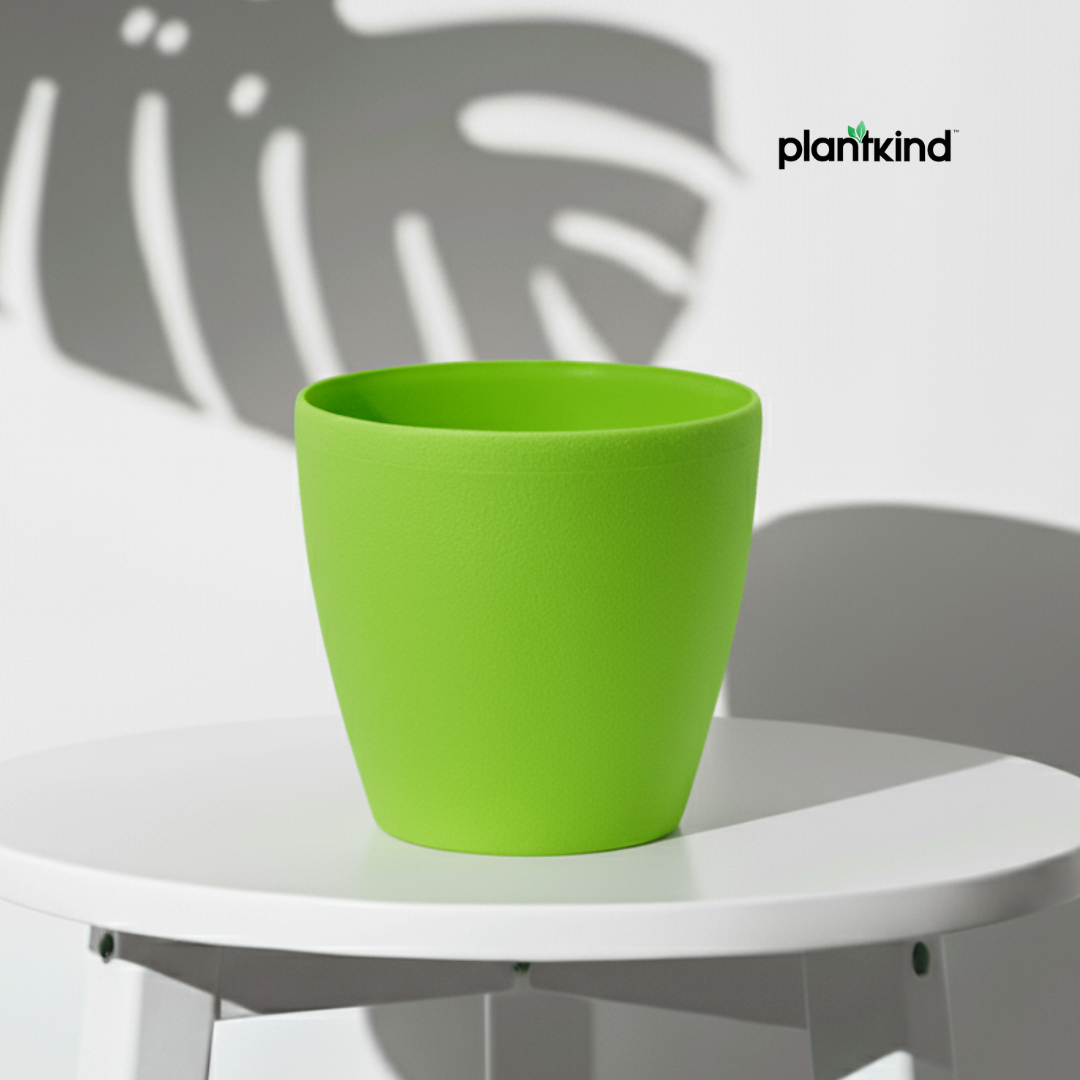 Plantkind Deco Plastic Pots 6inch | Plastic Pots | Pack Of 1