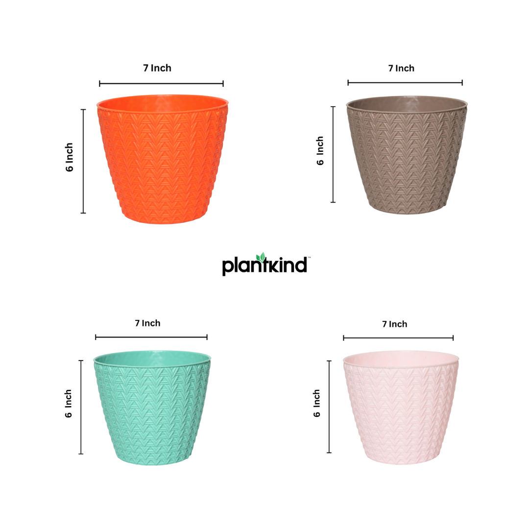 Plantkind Dollar 7 Plastic Pots 7 Inch | Plastic Pot | Pack of 1