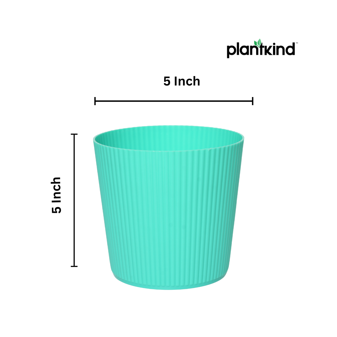 Plantkind Strip 5 Inch Plastic Pot | Gardening Pot | Plastic Pot | Pack Of 1