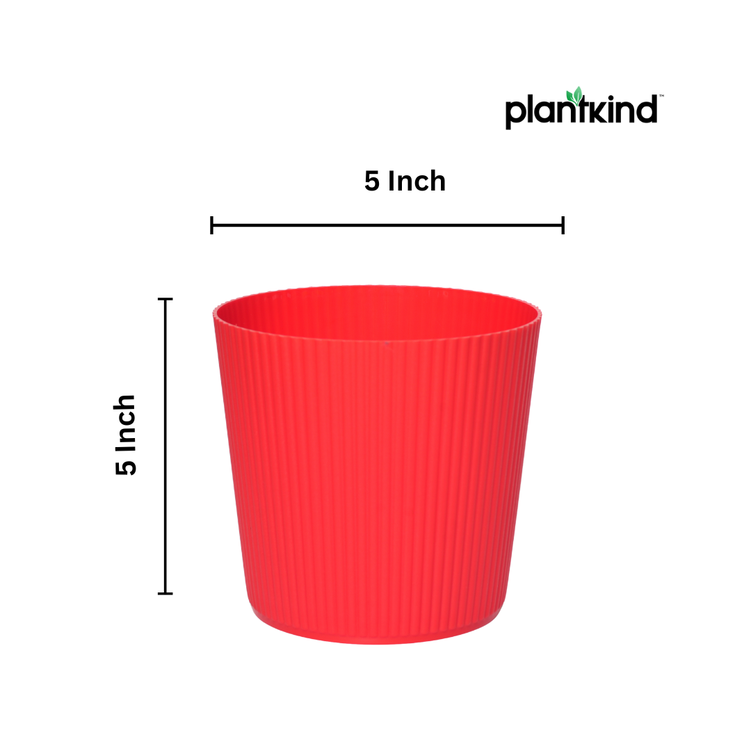 Plantkind Strip 5 Inch Plastic Pot | Gardening Pot | Plastic Pot | Pack Of 1